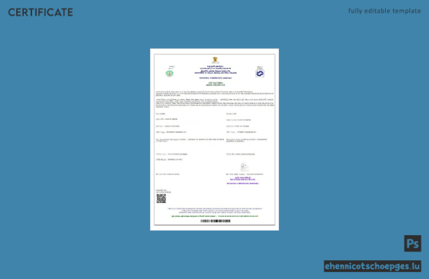 Beispiel einer Geburtsurkunde der Regierung von Andhra Pradesh, Indien